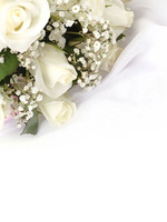 White Roseの表紙画像