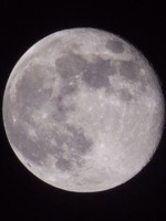 月星が綺麗な夜にの表紙画像