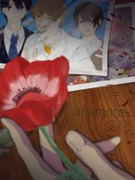 anemoneの表紙画像
