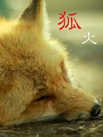 狐火の表紙画像