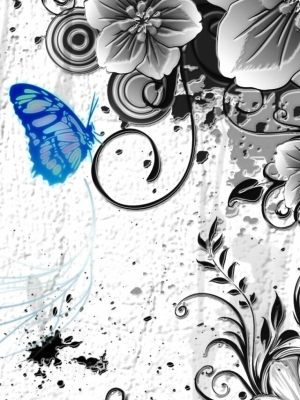 舞蝶の表紙画像