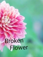 Broken Flowerの表紙画像