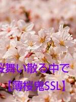 桜舞い散る中で【薄桜鬼SSL】の表紙画像