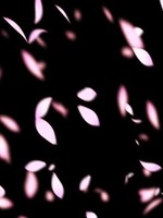 乱レ桜の表紙画像