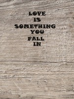 LOVE IS SOMETHING YOU FALL IN.の表紙画像