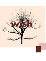 wishの表紙画像