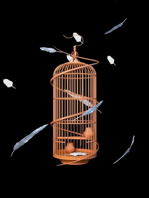 籠 の 中 の 鳥 小説