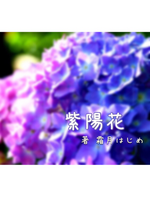 紫陽花の表紙画像