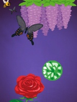 黒い蝶と藤の花の表紙画像